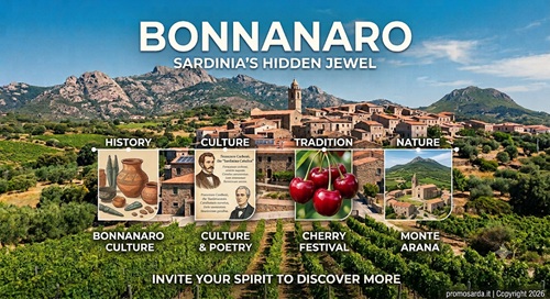 bonnanaro